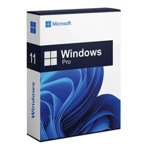 WINDOWS 10/11 PRO /HOME 💯 WARRANTY
